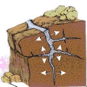 biological weathering of rocks